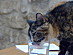 View full size picture