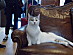 View full size picture