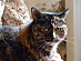 View full size picture