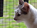 View full size picture