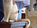 View full size picture