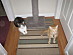 View full size picture