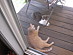 View full size picture