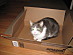View full size picture