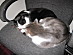 View full size picture