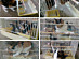 View full size picture