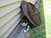 View full size picture