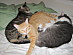 View full size picture