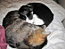 View full size picture