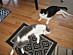 View full size picture