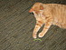 View full size picture