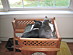 View full size picture