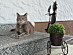 View full size picture