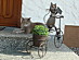 View full size picture