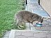 View full size picture