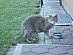 View full size picture