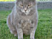 View full size picture