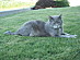 View full size picture