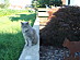 View full size picture