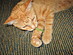 View full size picture