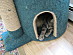 View full size picture