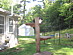 View full size picture