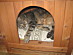 View full size picture
