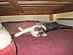 View full size picture
