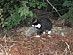 View full size picture