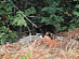 View full size picture