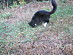 View full size picture