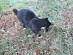 View full size picture
