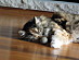 View full size picture