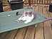 View full size picture