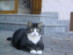 View full size picture