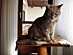View full size picture