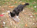 View full size picture