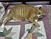 View full size picture