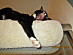 View full size picture
