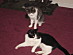 View full size picture