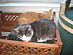 View full size picture