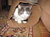 View full size picture