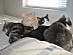 View full size picture
