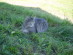 View full size picture