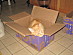 View full size picture