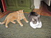 View full size picture