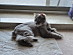 View full size picture