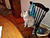 View full size picture
