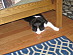 View full size picture