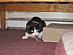 View full size picture